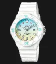 LRW-200H-2E2VDR_1m.webp